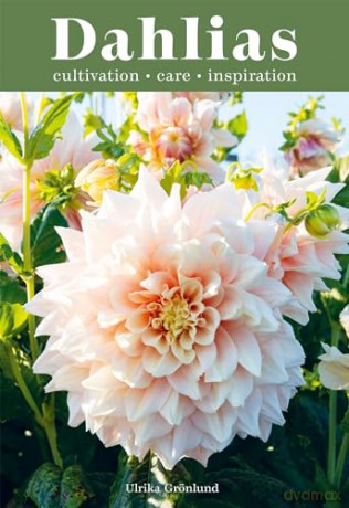 Dahlias: Inspiration, Cultivation and Care for 222 Varieties - Ulrika Grönlund [KSIĄŻKA]