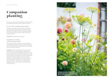 Dahlias: Inspiration, Cultivation and Care for 222 Varieties - Ulrika Grönlund [KSIĄŻKA]