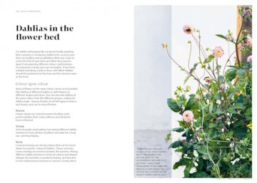 Dahlias: Inspiration, Cultivation and Care for 222 Varieties - Ulrika Grönlund [KSIĄŻKA]