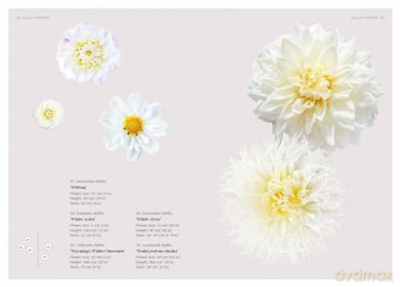 Dahlias: Inspiration, Cultivation and Care for 222 Varieties - Ulrika Grönlund [KSIĄŻKA]
