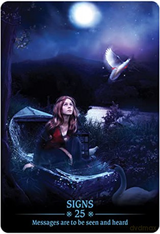 Dark Light Oracle - Carole-Anne Eschenazi [KSIĄŻKA]