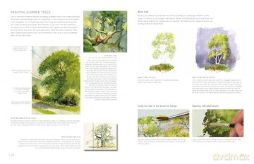 David Bellamy's Complete Guide to Landscapes: Painting the natural world in watercolour - David Bellamy [KSIĄŻKA]
