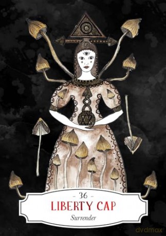 Deadly Apothecary Oracle: Poisonous plants as guides and healers (Rockpool Oracles) - Priestess Moon [KSIĄŻKA]