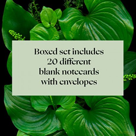 Deep Dark Forest Notes: 20 Different Notecards and Envelopes - Julya Hajnoczky [KALENDARZ]