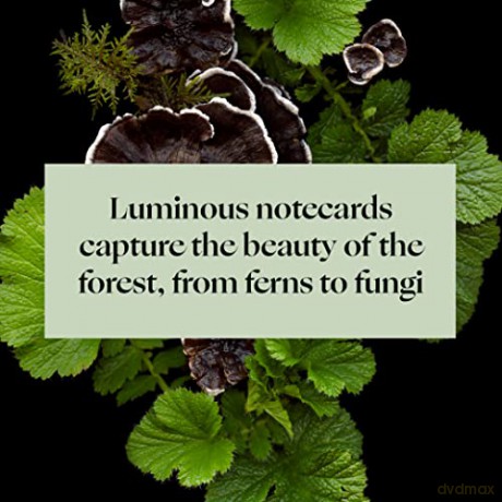 Deep Dark Forest Notes: 20 Different Notecards and Envelopes - Julya Hajnoczky [KALENDARZ]