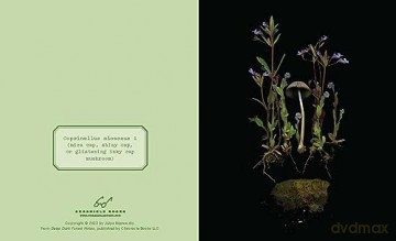 Deep Dark Forest Notes: 20 Different Notecards and Envelopes - Julya Hajnoczky [KALENDARZ]