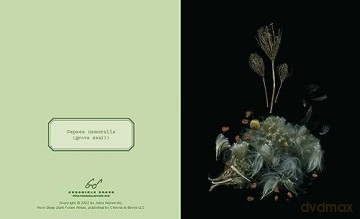 Deep Dark Forest Notes: 20 Different Notecards and Envelopes - Julya Hajnoczky [KALENDARZ]