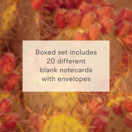 Desert Dream Notes: 20 Different Notecards and Envelopes - Tyana Arviso [KALENDARZ]