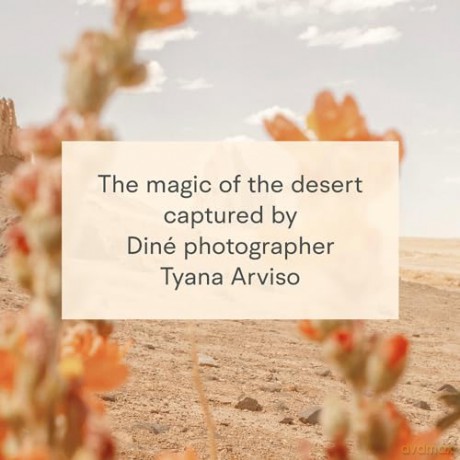 Desert Dream Notes: 20 Different Notecards and Envelopes - Tyana Arviso [KALENDARZ]