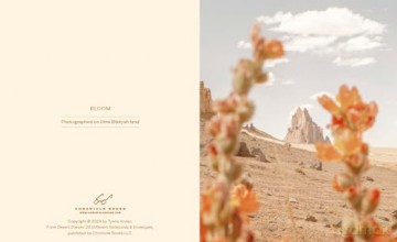Desert Dream Notes: 20 Different Notecards and Envelopes - Tyana Arviso [KALENDARZ]