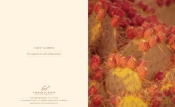 Desert Dream Notes: 20 Different Notecards and Envelopes - Tyana Arviso [KALENDARZ]