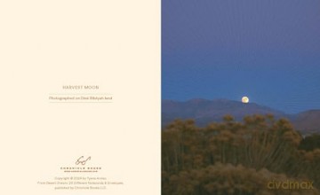 Desert Dream Notes: 20 Different Notecards and Envelopes - Tyana Arviso [KALENDARZ]