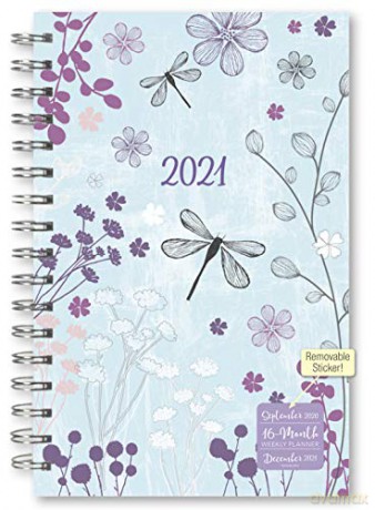 Designer Dragonfly 2021 Planner [KSIĄŻKA]