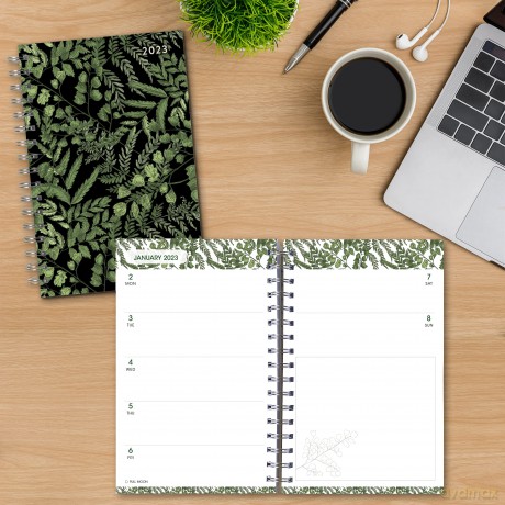 Designer Essentials September 2022-December 2023 Lifestyle Planner: Fancy Ferns (DESIGNER ENGAGEMENT) [KSIĄŻKA]