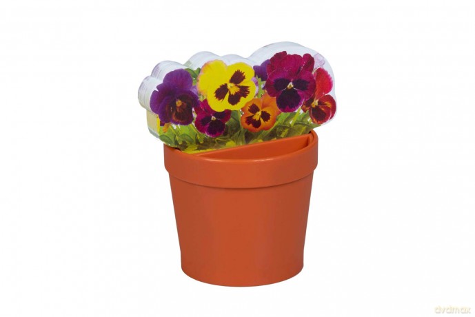 Deskplant Flowers [KSIĄŻKA]