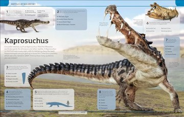 Dinosaur Knowledge Genius!: A Quiz Encyclopedia to Boost Your Brain (DK Knowledge Genius) - Dk [KSIĄŻKA]