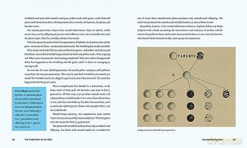 Discovering Life's Story: The Evolution of an Idea - Joy Hakim [KSIĄŻKA]