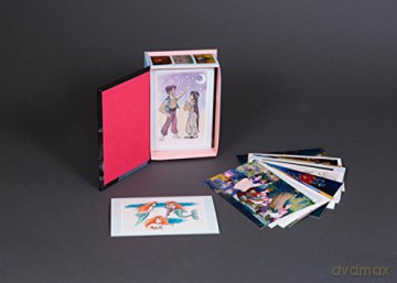 Disney Princess Postcard Box: 100 Collectible Postcards - Disney [KSIĄŻKA]