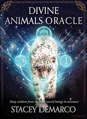 Divine Animals Oracle: Deep wisdom from the most sacred beings in existence (Rockpool Oracle Card) - Stacey Demarco [KSIĄŻKA]