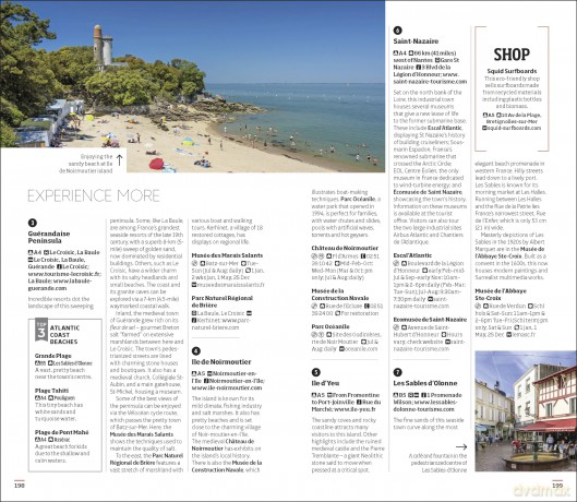 DK Eyewitness Loire Valley (Travel Guide) - Dk Eyewitness [KSIĄŻKA]