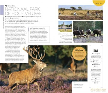 DK Eyewitness The Netherlands (Travel Guide) - Dk Eyewitness [KSIĄŻKA]