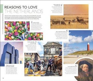 DK Eyewitness The Netherlands (Travel Guide) - Dk Eyewitness [KSIĄŻKA]