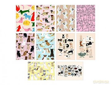 Dog Box: 100 Postcards by 10 Artists - Princeton Architectural Press [KSIĄŻKA]