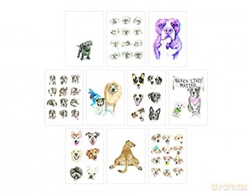 Dog Box: 100 Postcards by 10 Artists - Princeton Architectural Press [KSIĄŻKA]