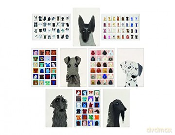 Dog Box: 100 Postcards by 10 Artists - Princeton Architectural Press [KSIĄŻKA]