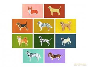 Dog Box: 100 Postcards by 10 Artists - Princeton Architectural Press [KSIĄŻKA]