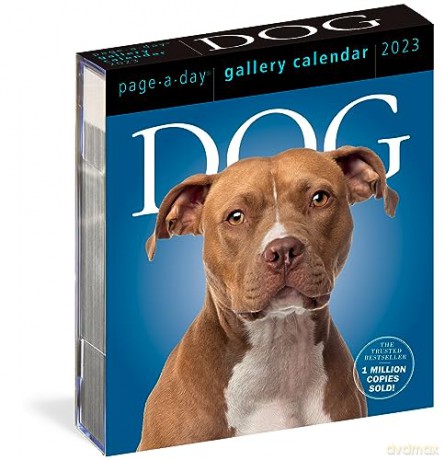 Dog Page-A-Day Gallery Calendar 2023: An Elegant Canine Celebration - Workman Calendars [KALENDARZ]
