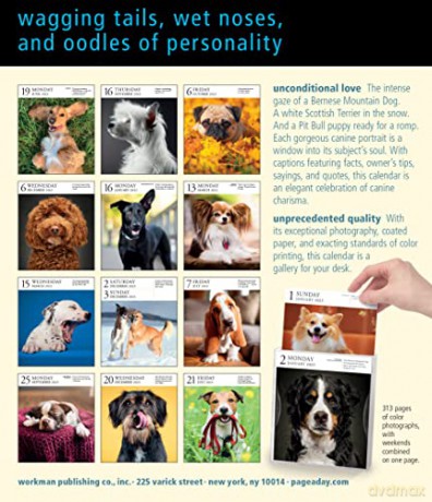Dog Page-A-Day Gallery Calendar 2023: An Elegant Canine Celebration - Workman Calendars [KALENDARZ]