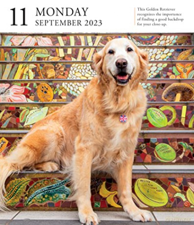 Dog Page-A-Day Gallery Calendar 2023: An Elegant Canine Celebration - Workman Calendars [KALENDARZ]