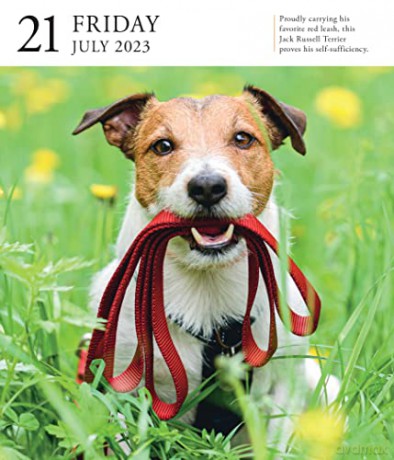 Dog Page-A-Day Gallery Calendar 2023: An Elegant Canine Celebration - Workman Calendars [KALENDARZ]