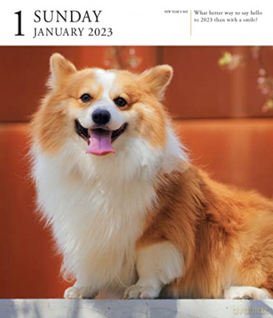 Dog Page-A-Day Gallery Calendar 2023: An Elegant Canine Celebration - Workman Calendars [KALENDARZ]