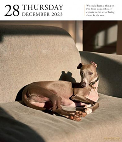 Dog Page-A-Day Gallery Calendar 2023: An Elegant Canine Celebration - Workman Calendars [KALENDARZ]