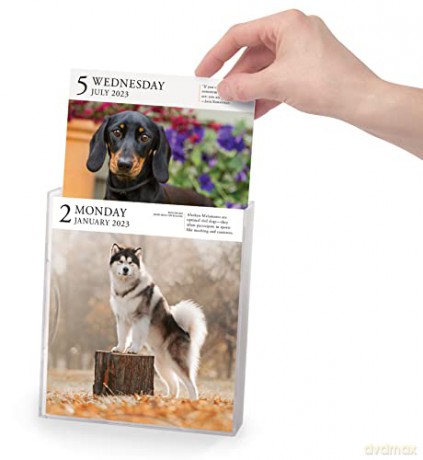Dog Page-A-Day Gallery Calendar 2023: An Elegant Canine Celebration - Workman Calendars [KALENDARZ]