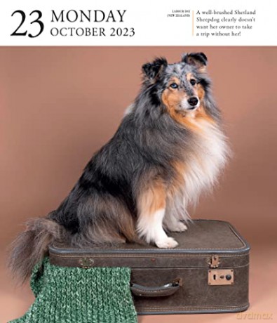 Dog Page-A-Day Gallery Calendar 2023: An Elegant Canine Celebration - Workman Calendars [KALENDARZ]