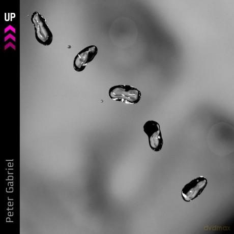 Peter Gabriel: Up [CD]