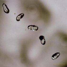 Peter Gabriel: Up [SACD]
