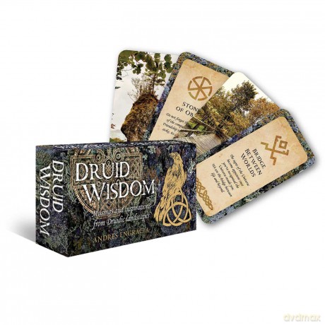 Druid Wisdom: 40 rounded corner cards + 1 box with 1 magnet (Mini Inspiration Cards) - Andres Engracia [KSIĄŻKA]