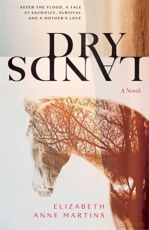 Dry Lands - Elizabeth Anne Martins [KSIĄŻKA]