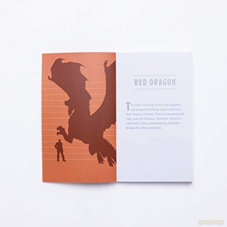 Dungeons and Dragons Bestiary Notebook Set: 8 Mini Notebooks - Wizards Of The Coast [KSIĄŻKA]
