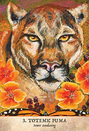 Earth Warriors Oracle - Second Edition: Empowering the Sacred Guardian and Inspired Visionaries - 44 full colour cards and 216 page book. - Alana Fairchild [KSIĄŻKA]