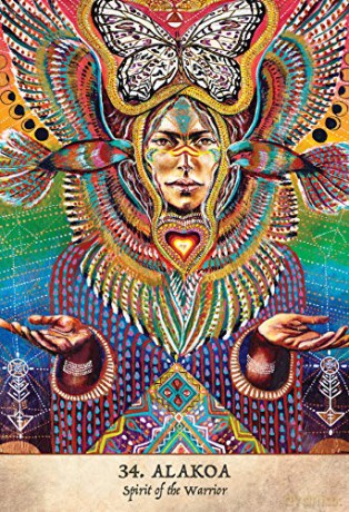Earth Warriors Oracle - Second Edition: Empowering the Sacred Guardian and Inspired Visionaries - 44 full colour cards and 216 page book. - Alana Fairchild [KSIĄŻKA]
