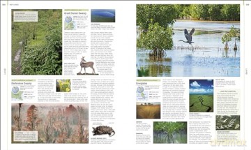 Earth: The Definitive Visual Guide (DK Definitive Visual Encyclopedias) - Dk [KSIĄŻKA]