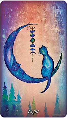 Earthly Souls and Spirits Moon Oracle - Terri Foss [KSIĄŻKA]