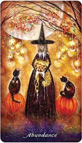 Earthly Souls and Spirits Moon Oracle - Terri Foss [KSIĄŻKA]
