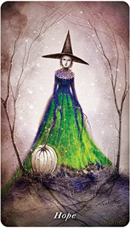 Earthly Souls and Spirits Moon Oracle - Terri Foss [KSIĄŻKA]