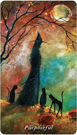 Earthly Souls and Spirits Moon Oracle - Terri Foss [KSIĄŻKA]